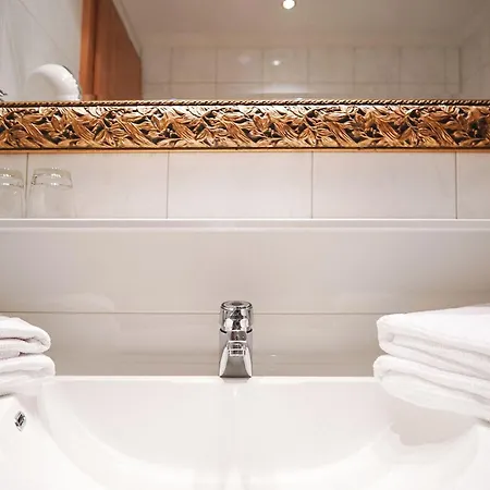 Acerina Superior فندق 3*